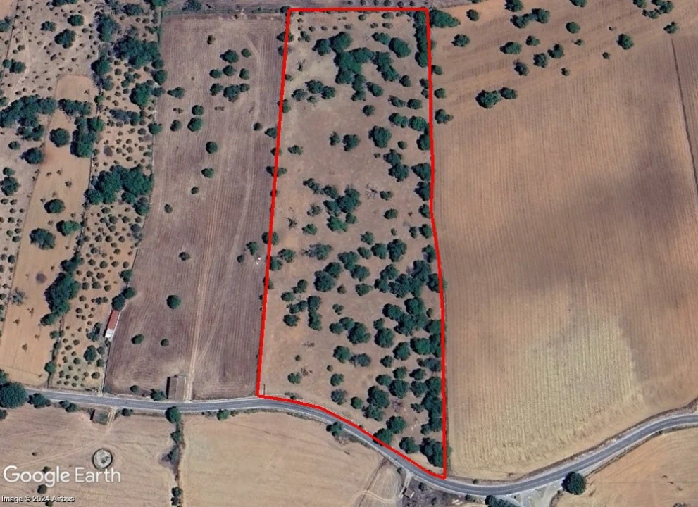 Terreno para Venda em São Salvador da Aramenha Foto 5