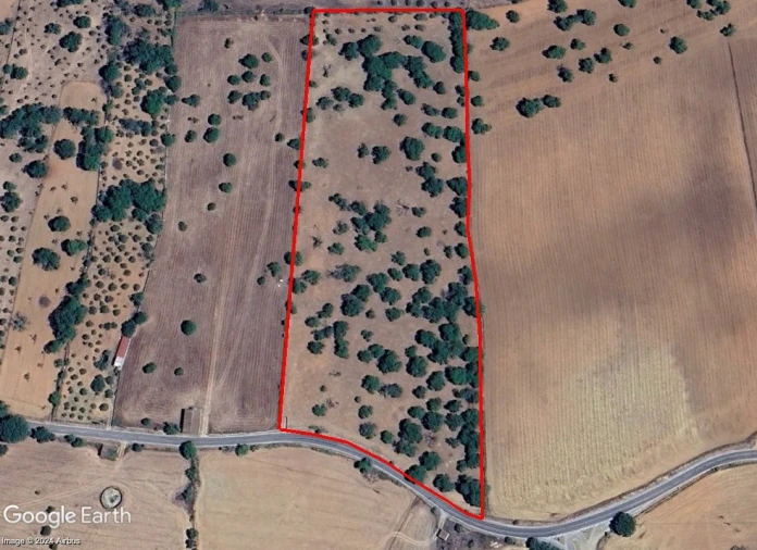 Terreno para Venda em São Salvador da Aramenha Foto 5