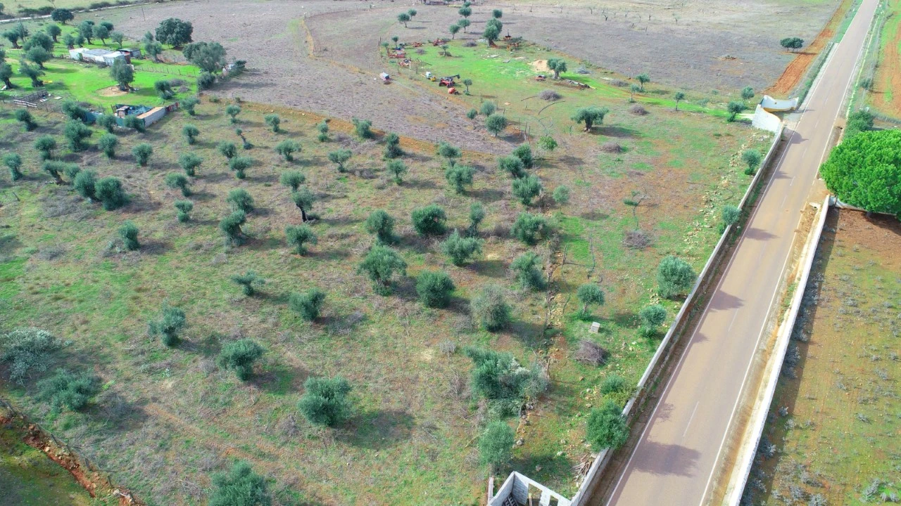 Terreno para Venda em Alter do Chão Foto 3