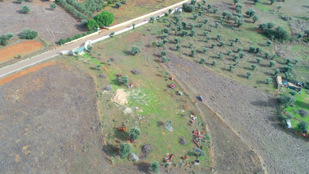 Terreno para Venda em Alter do Chão Foto 4