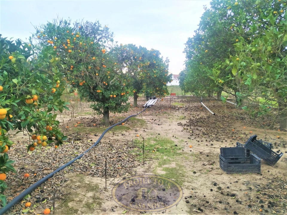 Terreno para Venda em Atalaia e Alto Estanqueiro-Jardia Foto 4