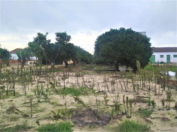 Terreno para Venda em Atalaia e Alto Estanqueiro-Jardia Foto 15