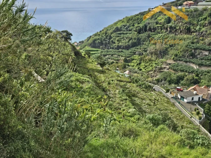 Terreno para Venda em Ponta do Sol