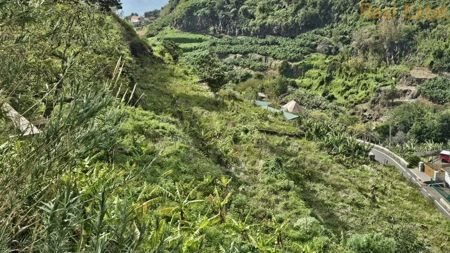 Terreno para Venda em Ponta do Sol