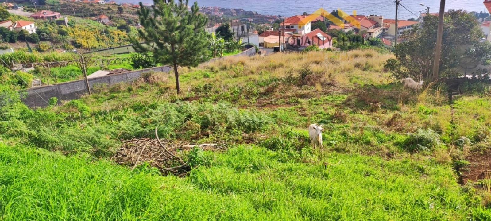 Terreno para Venda em Gaula Foto 6