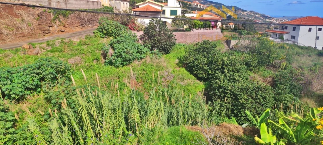 Terreno para Venda em Gaula Foto 4