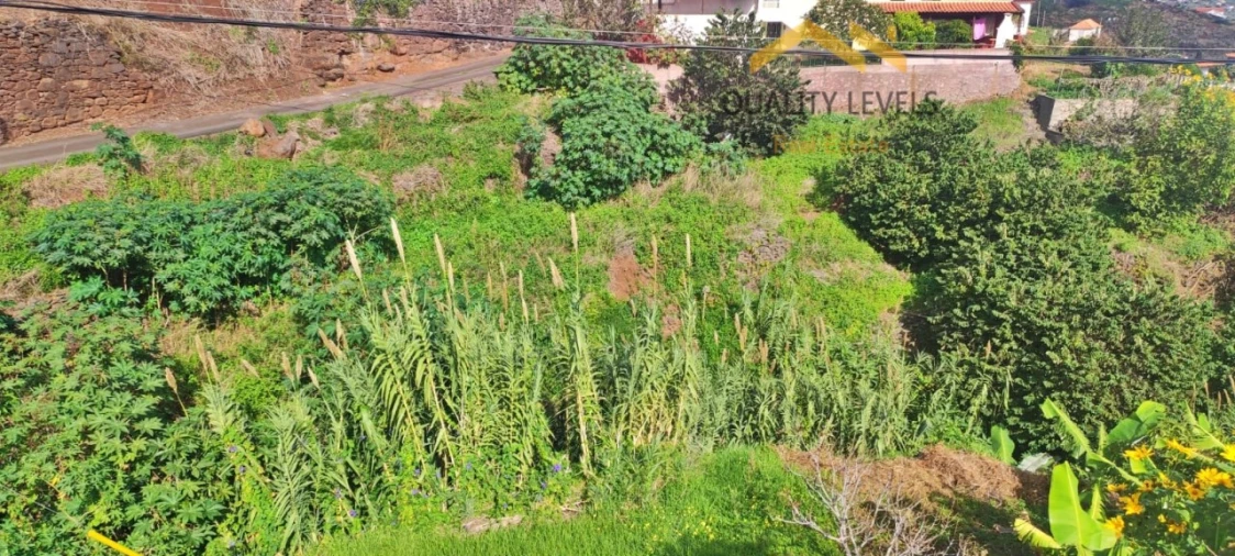 Terreno para Venda em Gaula Foto 5