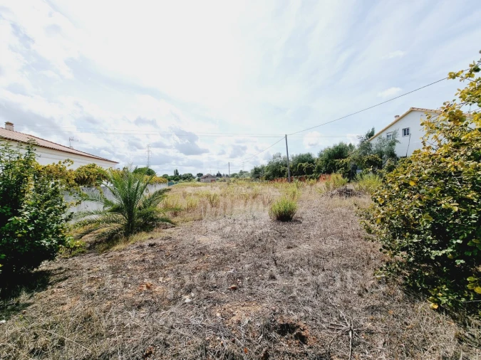 Terreno para Venda em Nossa Sra de Fatima Foto 5