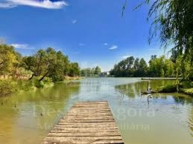 Terreno para Venda em Olaia e Paço Foto 4