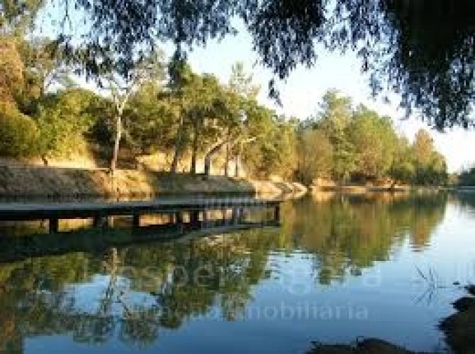 Terreno para Venda em Olaia e Paço Foto 5