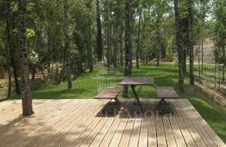 Terreno para Venda em Olaia e Paço Foto 6