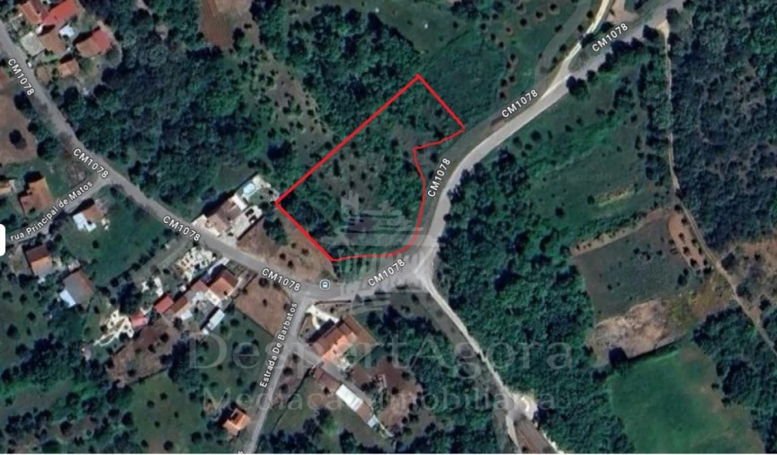 Terreno para Venda em Areias e Pias Foto 3