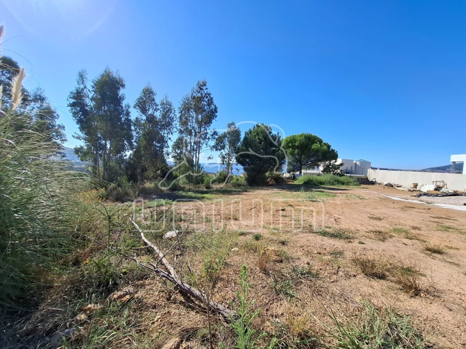 Terreno para Venda em Seixas Foto 1