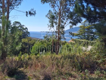 Terreno para Venda em Seixas