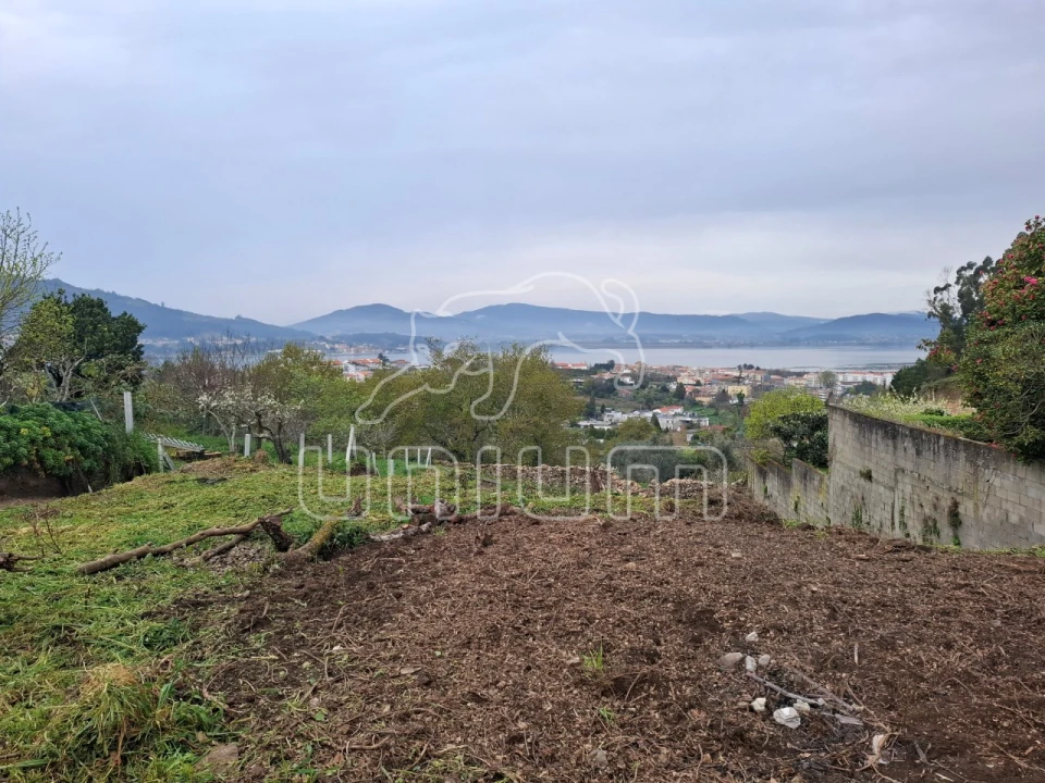 Terreno para Venda em Caminha (Matriz) e Vilarelho Foto 10
