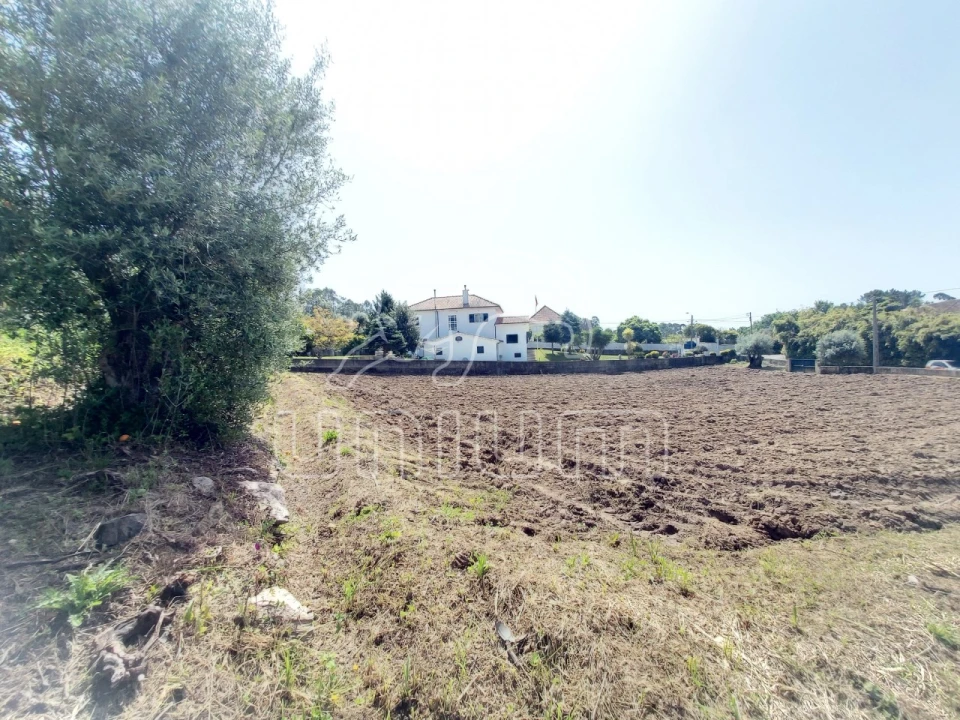 Terreno para Venda em Nogueira, Meixedo e Vilar de Murteda Foto 2