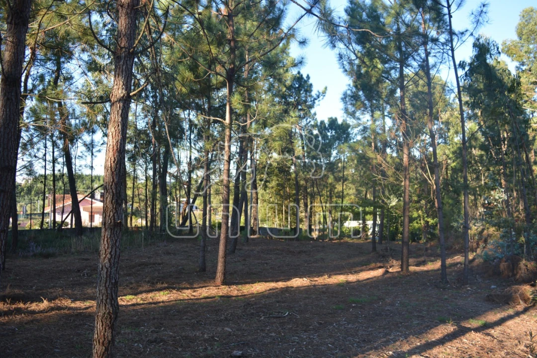 Terreno para Venda em Torre e Vila Mou Foto 2