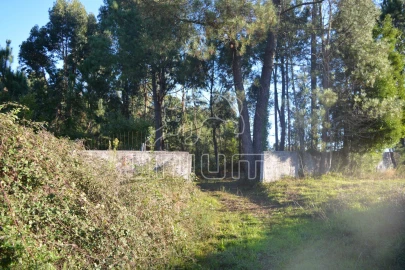 Terreno para Venda em Torre e Vila Mou
