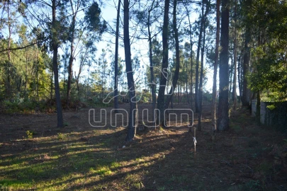 Terreno para Venda em Torre e Vila Mou