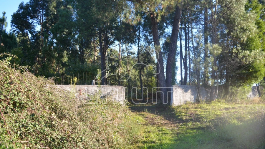 Terreno para Venda em Torre e Vila Mou