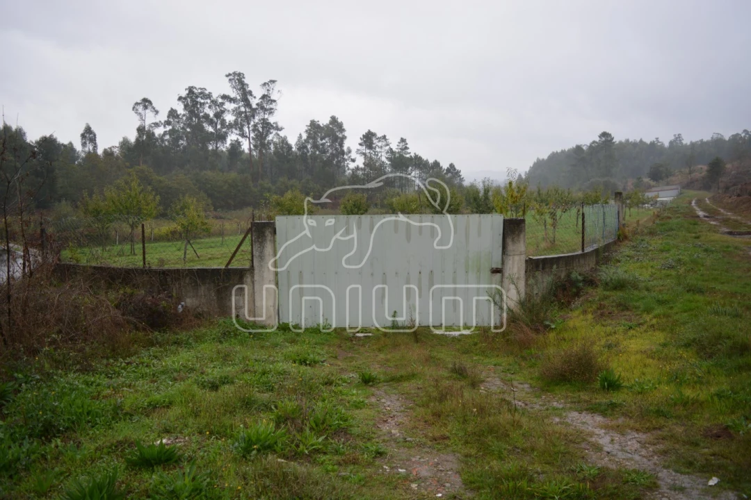 Terreno para Venda em Ardegão, Freixo e Mato Foto 6