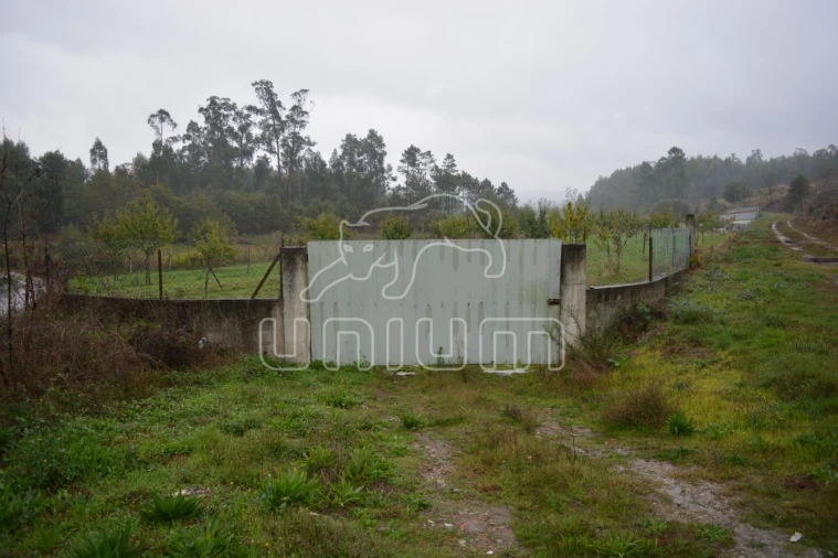 Terreno para Venda em Ardegão, Freixo e Mato Foto 6