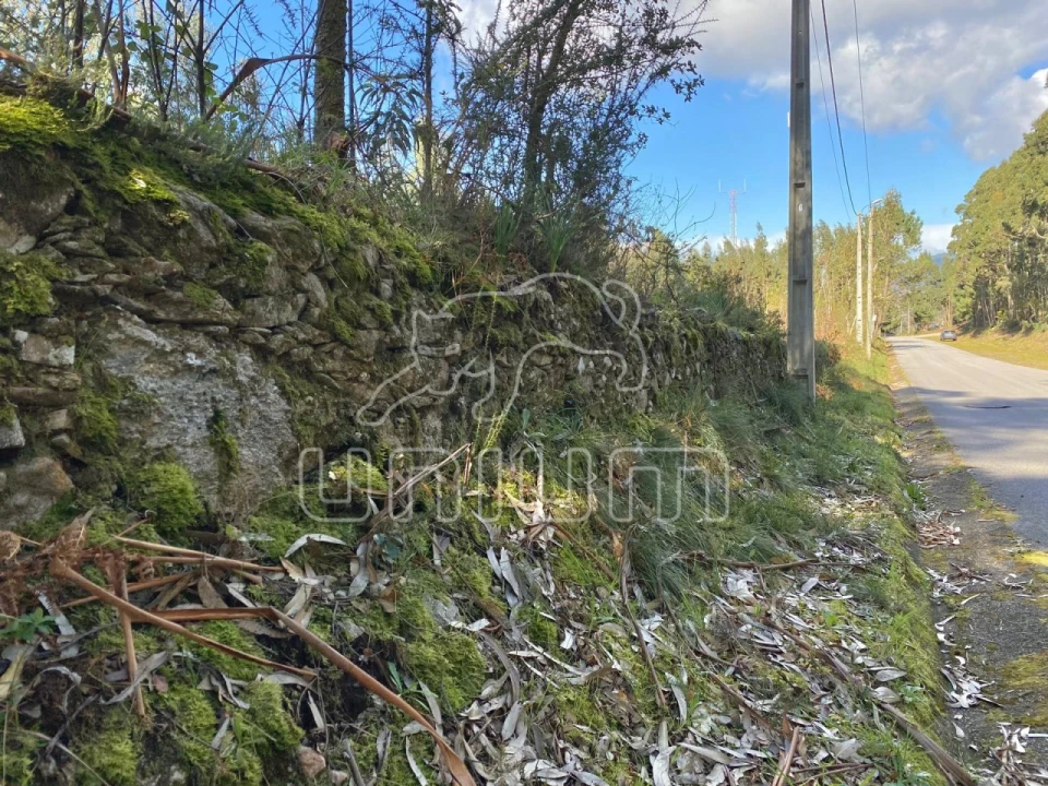Terreno para Venda em Caminha (Matriz) e Vilarelho Foto 6