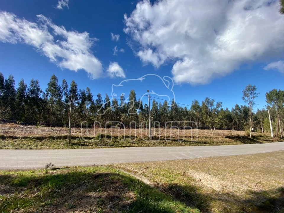 Terreno para Venda em Caminha (Matriz) e Vilarelho Foto 7