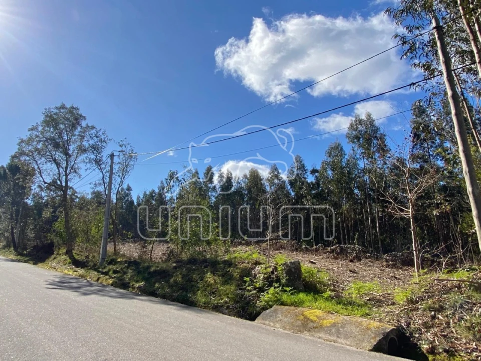 Terreno para Venda em Caminha (Matriz) e Vilarelho Foto 1