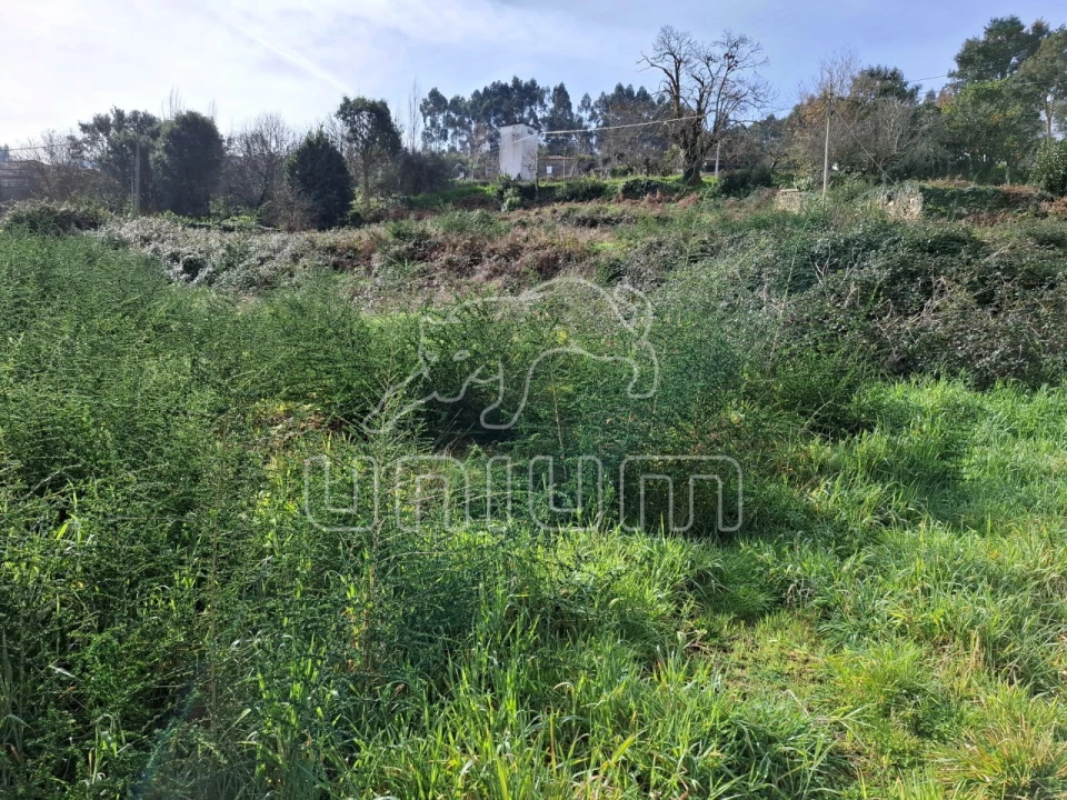 Terreno para Venda em Caminha (Matriz) e Vilarelho Foto 5