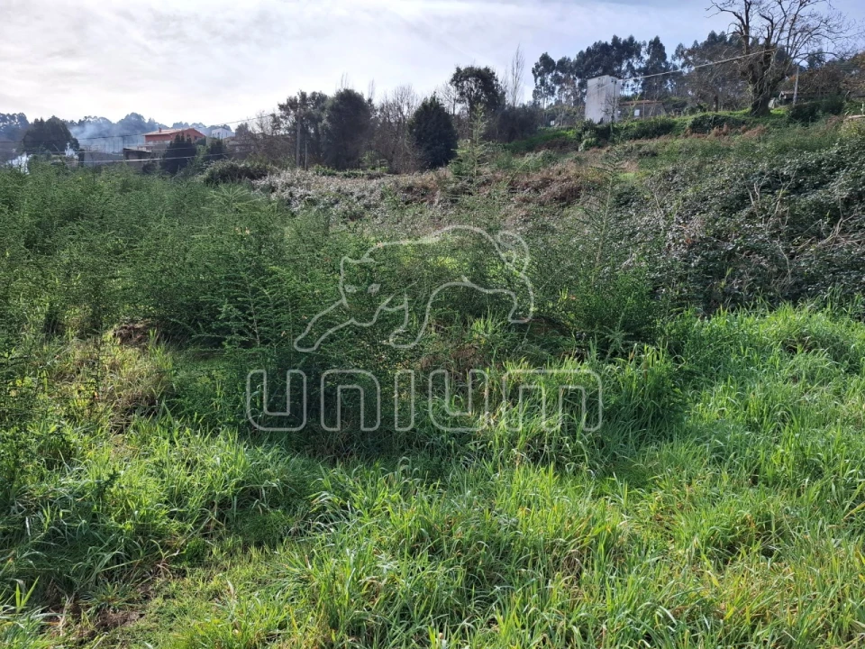 Terreno para Venda em Caminha (Matriz) e Vilarelho Foto 6