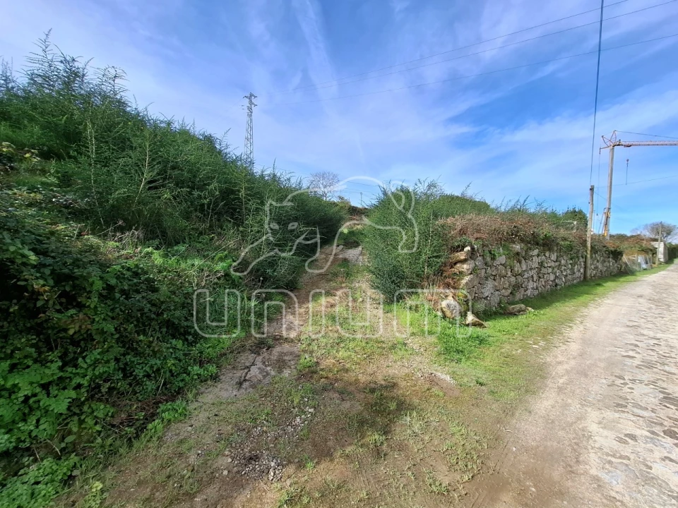 Terreno para Venda em Caminha (Matriz) e Vilarelho Foto 1