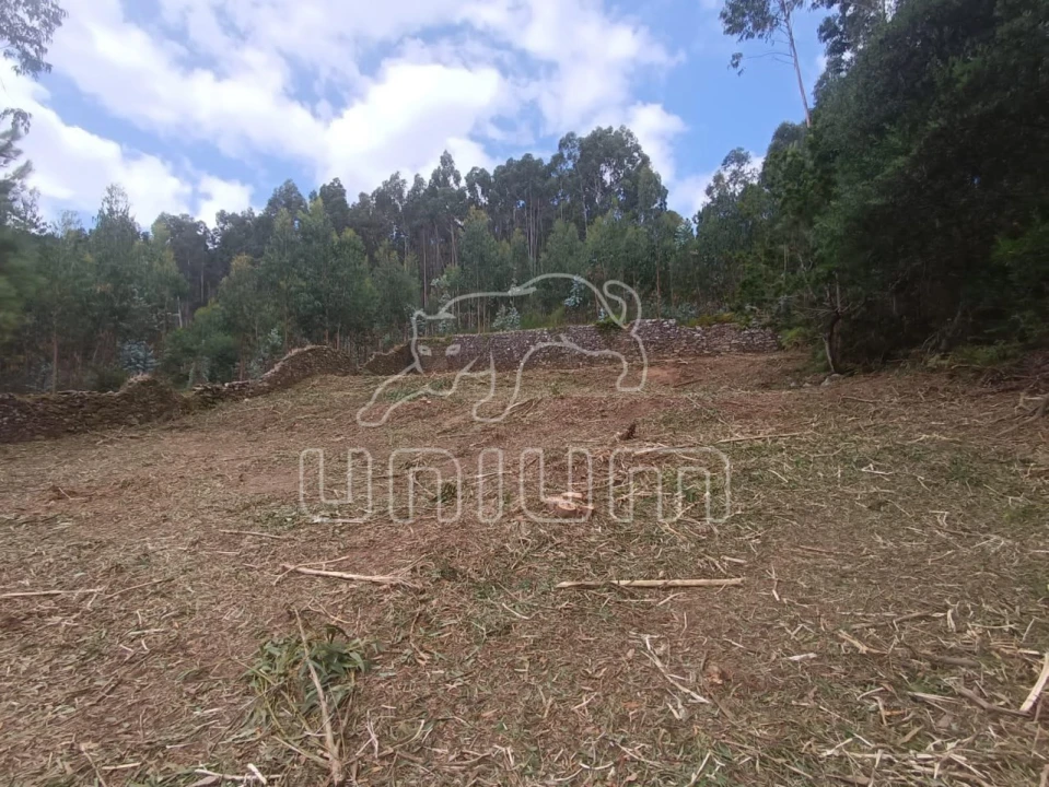 Terreno para Venda em Caminha (Matriz) e Vilarelho Foto 4