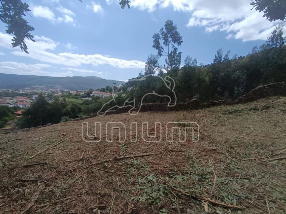 Terreno para Venda em Caminha (Matriz) e Vilarelho Foto 5