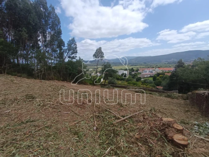 Terreno para Venda em Caminha (Matriz) e Vilarelho