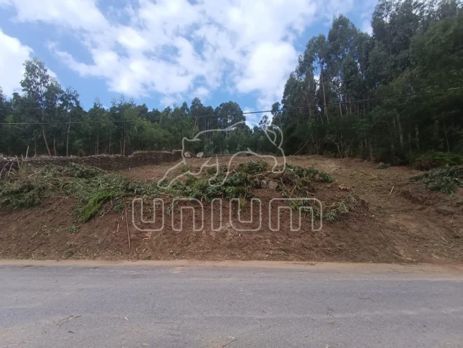 Terreno para Venda em Caminha (Matriz) e Vilarelho Foto 3