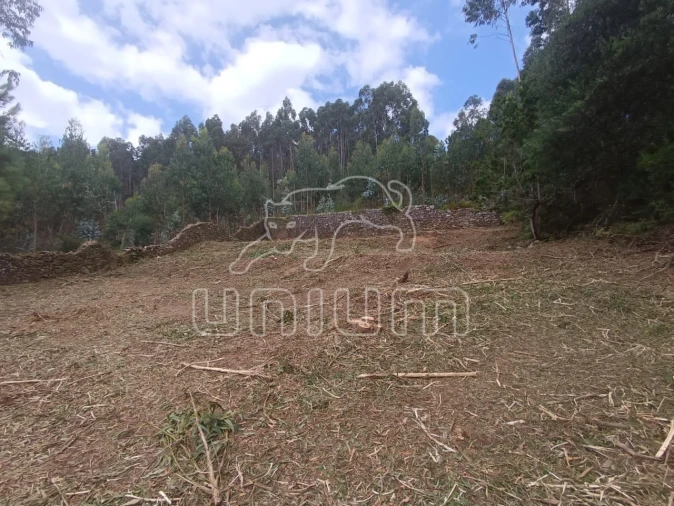 Terreno para Venda em Caminha (Matriz) e Vilarelho Foto 4