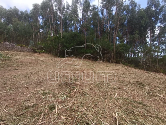 Terreno para Venda em Caminha (Matriz) e Vilarelho Foto 7