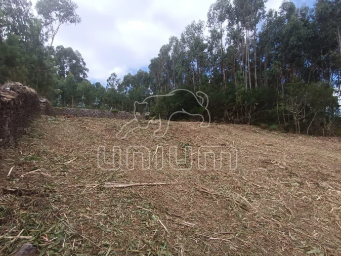 Terreno para Venda em Caminha (Matriz) e Vilarelho Foto 8
