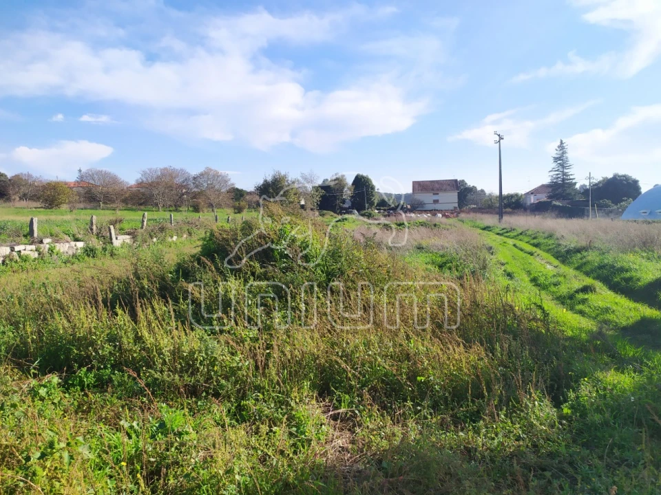 Terreno para Venda em Vila de Punhe Foto 1