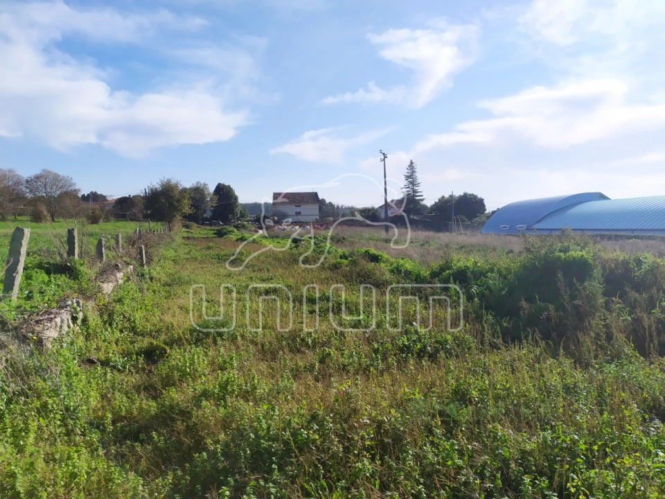 Terreno para Venda em Vila de Punhe Foto 2