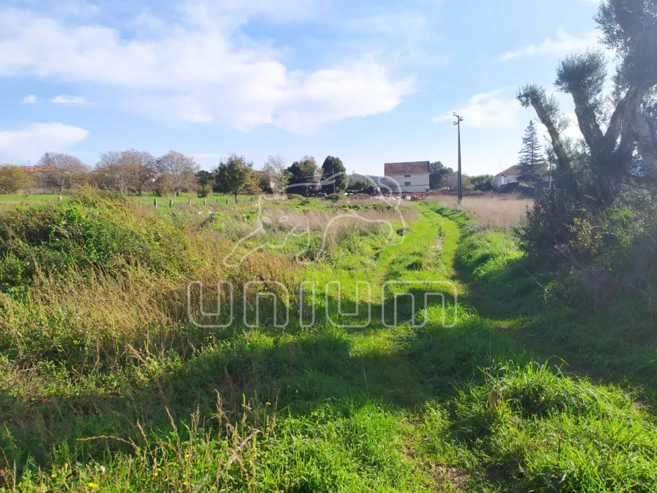 Terreno para Venda em Vila de Punhe Foto 3