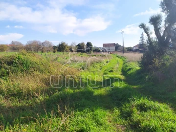 Terreno para Venda em Vila de Punhe