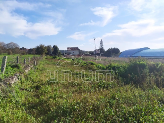 Terreno para Venda em Vila de Punhe Foto 2