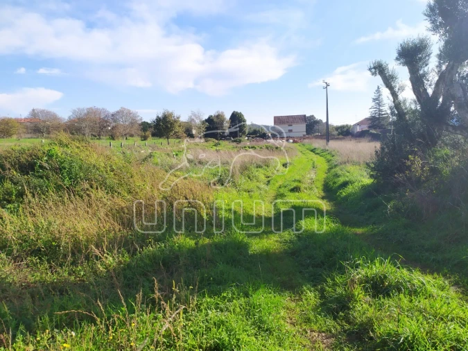 Terreno para Venda em Vila de Punhe Foto 3