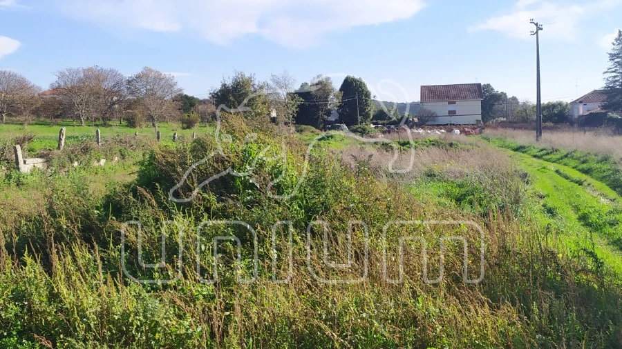 Terreno para Venda em Vila de Punhe