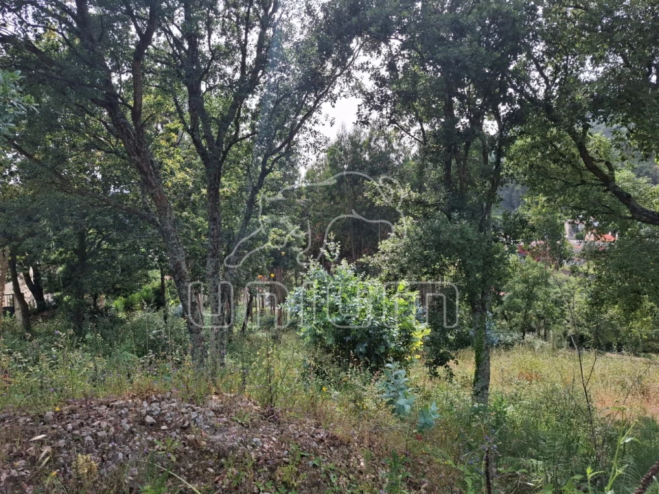 Terreno para Venda em Barroselas e Carvoeiro Foto 4