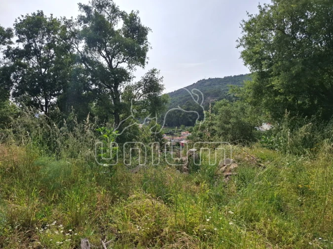 Terreno para Venda em Barroselas e Carvoeiro Foto 3