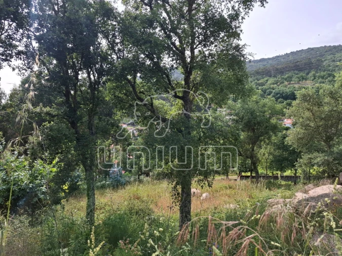 Terreno para Venda em Barroselas e Carvoeiro Foto 6