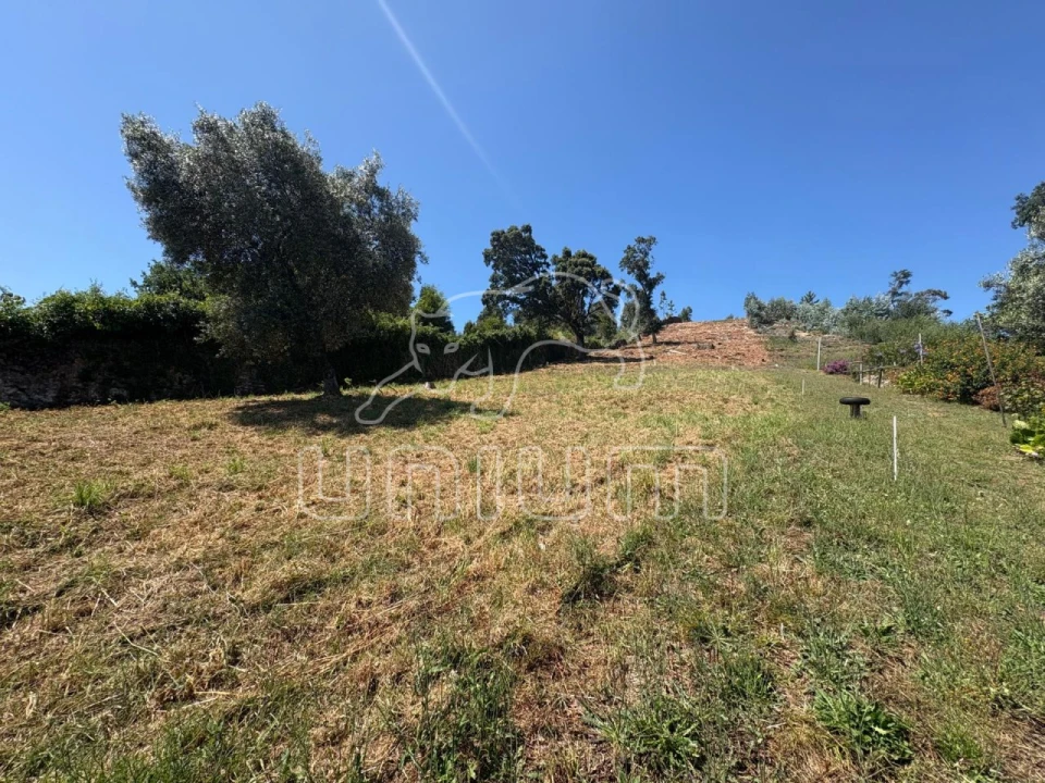 Terreno para Venda em Santa Maria Maior e Monserrate e Meadela Foto 8